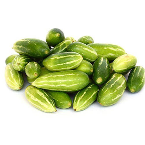 Natural Fresh Ivy Gourd, for Pesticide Free, High Nutritive Value, Packaging Type : Plastic Packet