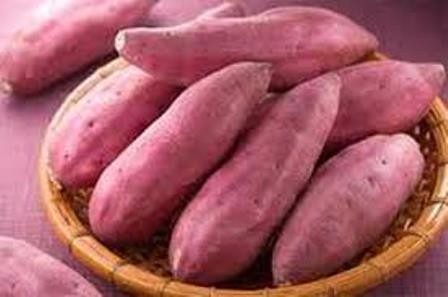 Fresh Sweet Potato at Best Price in Thiruvananthapuram