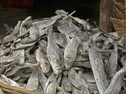 Dry fish, Feature : Good Protein, Non Harmful