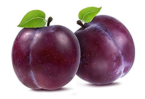 Fresh Plum