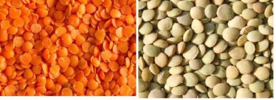 Masoor dal, Feature : High Nutritional Bean
