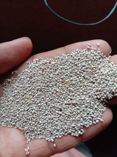 White Chia Seeds, for Alimentary Health industries, Purity : 99%
