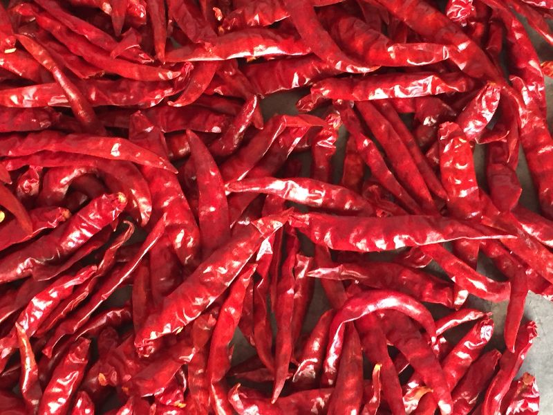 Dry Red Chilli Buy dry red chilli for best price at INR 130INR 155