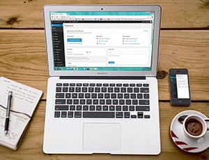 Wordpess Development