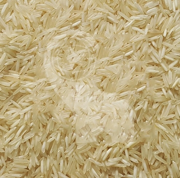 Organic 1509 Basmati Rice, for Cooking, Style : Dried