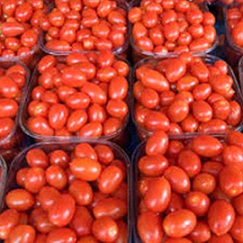 Organic Fresh Tomato, Color : Red, Red