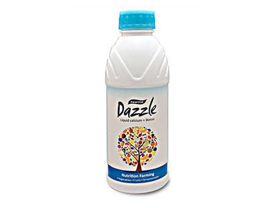 Dazzle Liquid