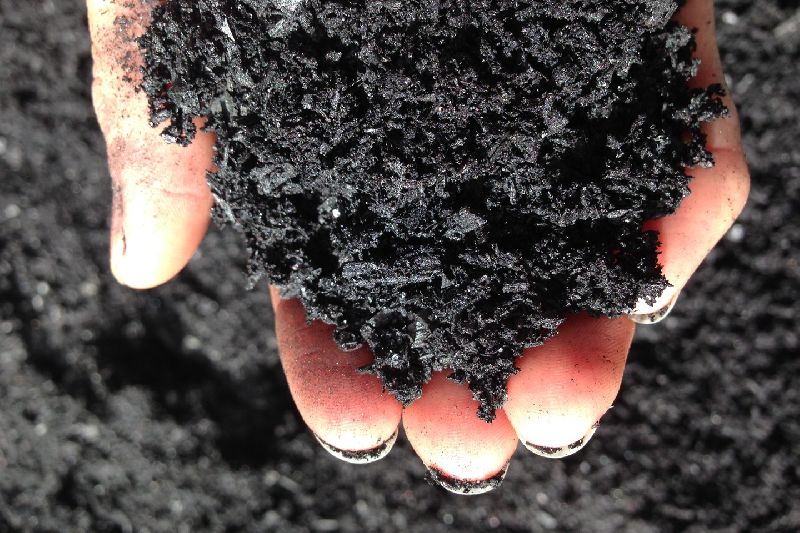 Biochar