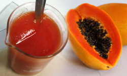 Sterilized papaya pulp, Shelf Life : 6 Months