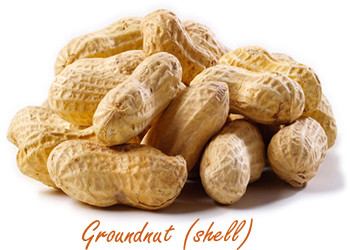 Groundnut Shell