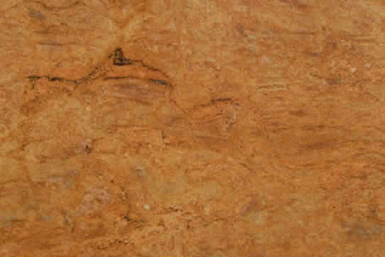 Rectangular Polished Madurai Gold Granite, for Bathroom, Kitchen, Feature : Easy To Clean, Stain Proof