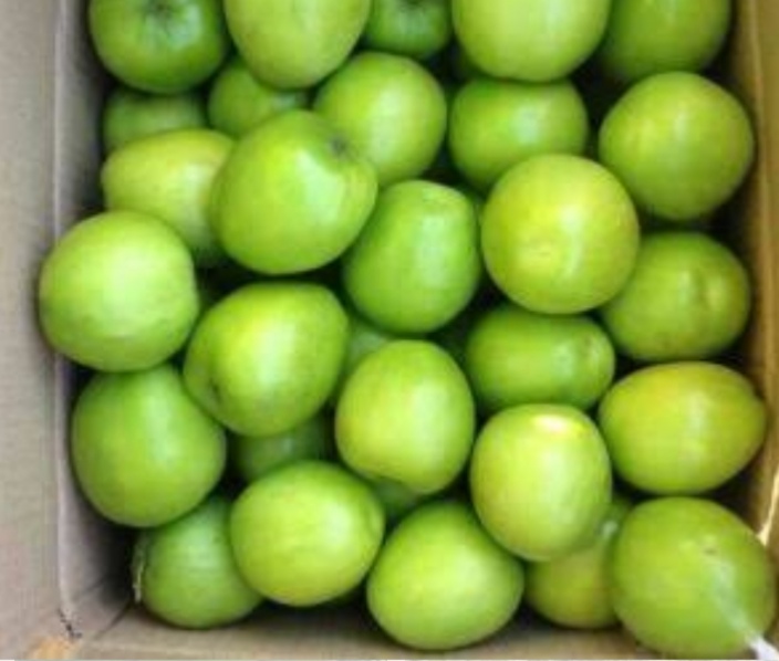 Fresh Ber Apple, Color : Green