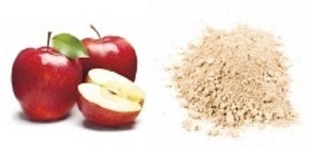 Apple Powder, Packaging Type : Plastic Bag