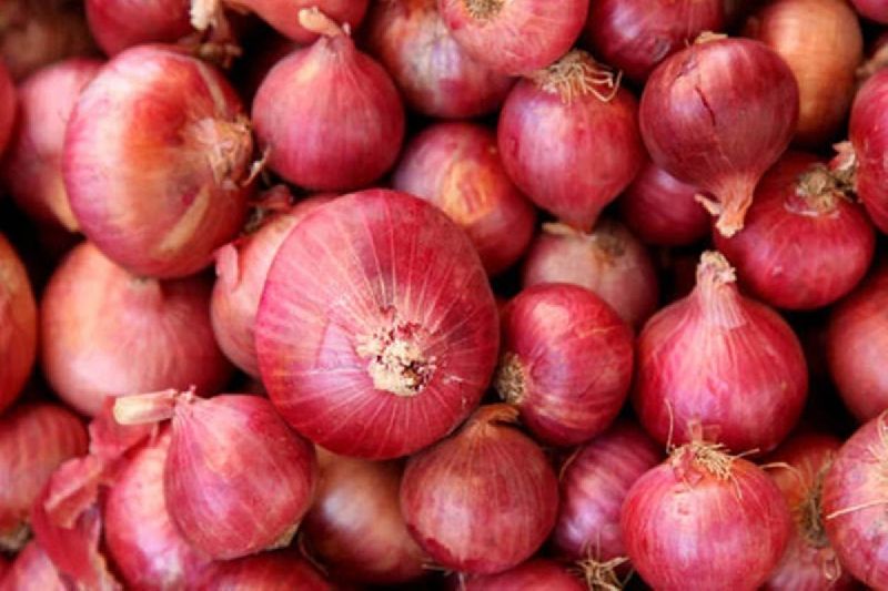 Fresh red onion, Shelf Life : 15-30days