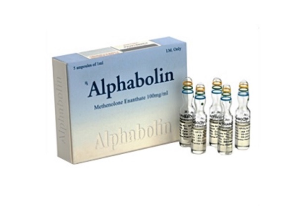 Alphabolin5 ampoules 100mg/ml