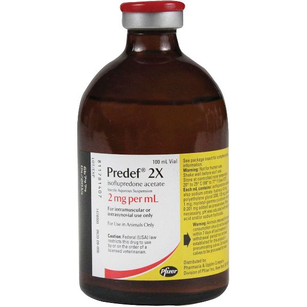 2X 100ml Predef injection