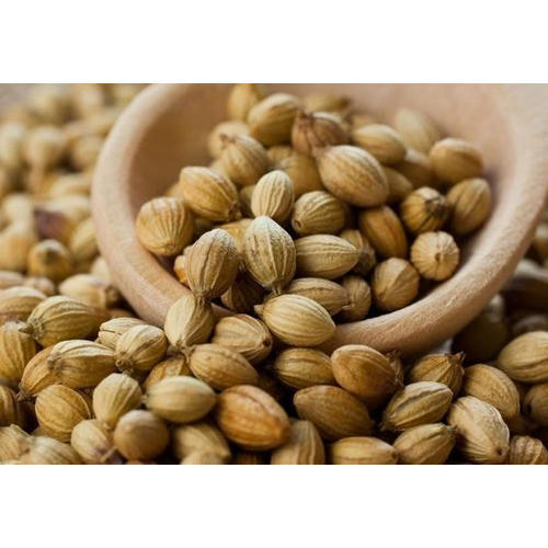 Coriander seeds, for Agriculture, Cooking, Food, Medicinal, Certification : FDA Certified, FSSAI