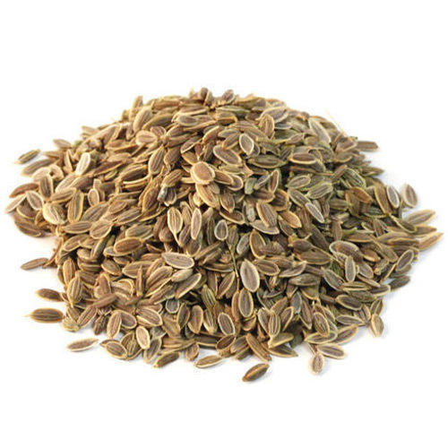Whole Dill Seeds, for Cooking, Food, Snacks, Certification : FDA, GMP, Halal