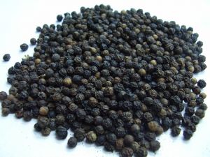 Organic Black Pepper Seeds, for Cooking, Packaging Type : Plastic Pouch