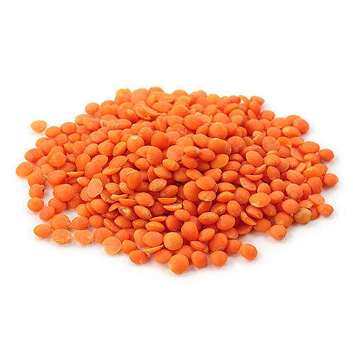 Organic Red Lentils, for Cooking, Packaging Type : Gunny Bag, Plastic Bag