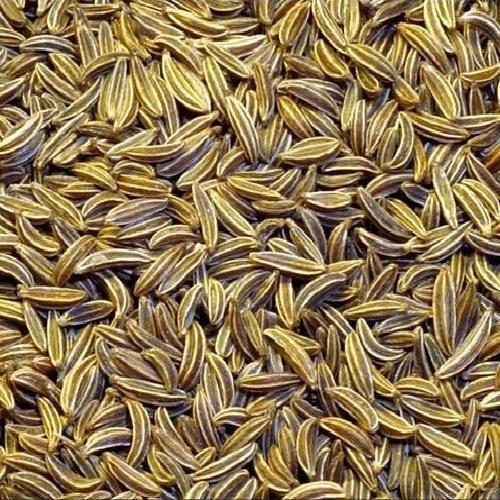 Whole Cumin Seeds