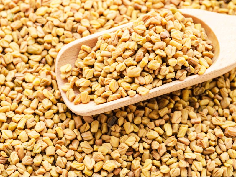 Organic Methi Seeds, Shelf Life : 1year at Best Price in Madurai - ID ...