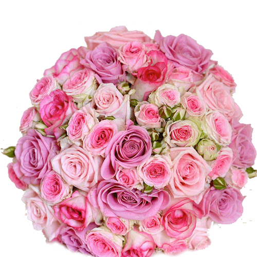 Natural Pink Paradise Roses Bouquet, Shelf Life : 7-10Days