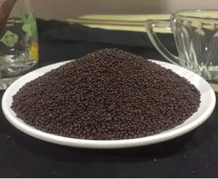 Mustard Seeds, for Oil Extraction, Spice