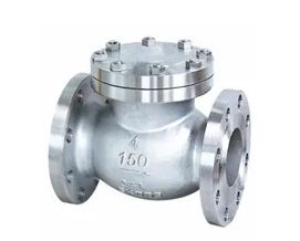 Check Valve