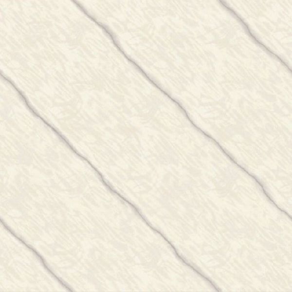8022 Nano Soluble Salt Vitrified Tiles, Size : 600 X 600mm