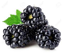 Fresh Organic Blackberry
