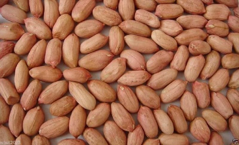 Organic Peanut Seeds
