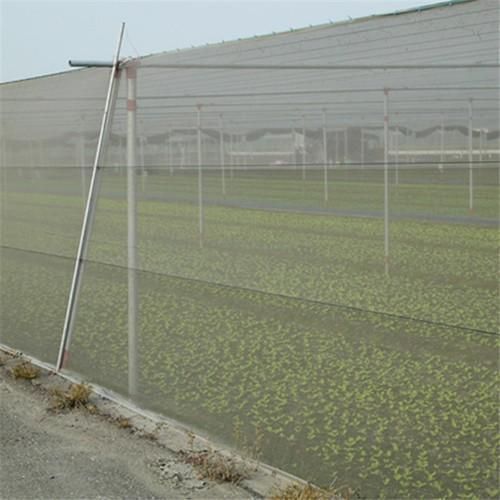 Agricultural Insect Net