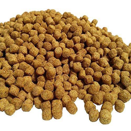 Cattle Feed Wholesale Suppliers in Bidar Karnataka India by Tejashwi