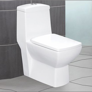 Ceramic RDS-22011 Water Closet, for Toilet Use, Size : Standard
