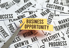 Business Opertunity Services