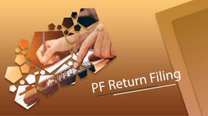 PF Return Filing Services