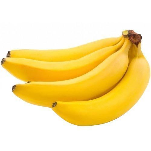 Organic Fresh Natural Banana, Packaging Type : Gunny Bag, Net Bag