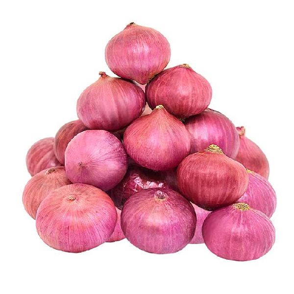 Fresh Organic Onion