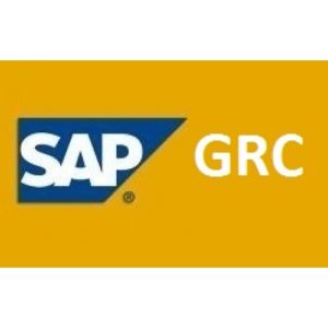 SAP GRC 10 Training Course