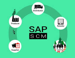 SAP SCM Training Course