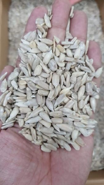 Sunflower Kernel Best Quality