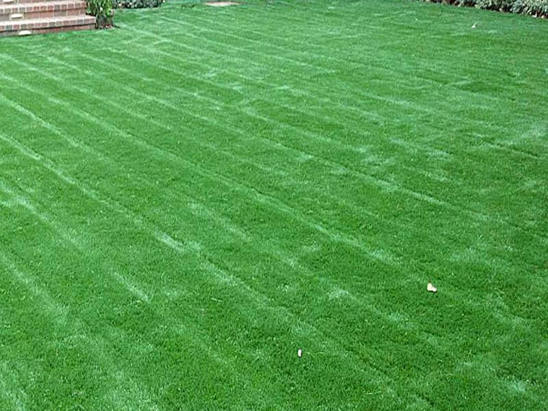 artificial-bermuda-grass-buy-artificial-bermuda-grass-in-mumbai-maharashtra