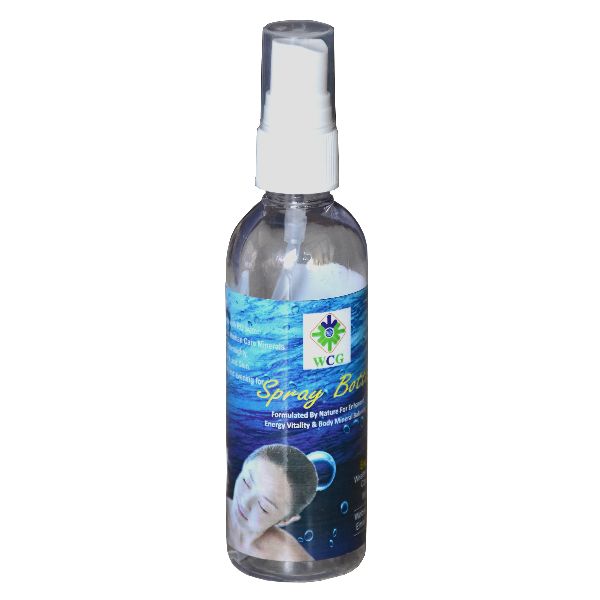 Plastic Spray Bottle, Capacity : 500ml