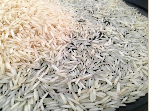Organic 1121 Steam Basmati Rice, for Gluten Free, High In Protein, Variety : Long Grain