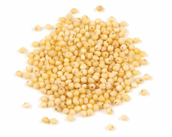 Organic Millet Seeds, for Cooking, Style : Dried