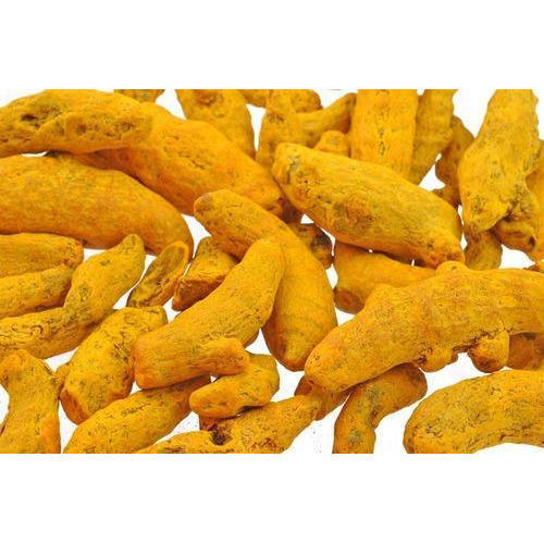 Raw turmeric finger, Color : Yellow