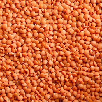 Red Whole Lentils