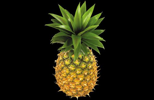 Fresh Pineapple, for Food