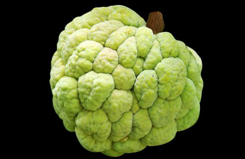 Custard Apple